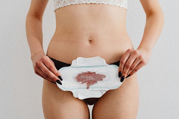 Do Your Calorie Needs Change During Your Menstrual Cycle? Yes — Estrogen and Progesterone Shift Your Metabolism by 100–300 Calories Every Week